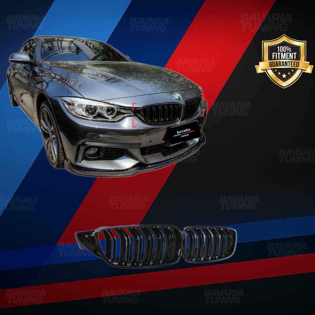 Двойни бъбреци за BMW F32
