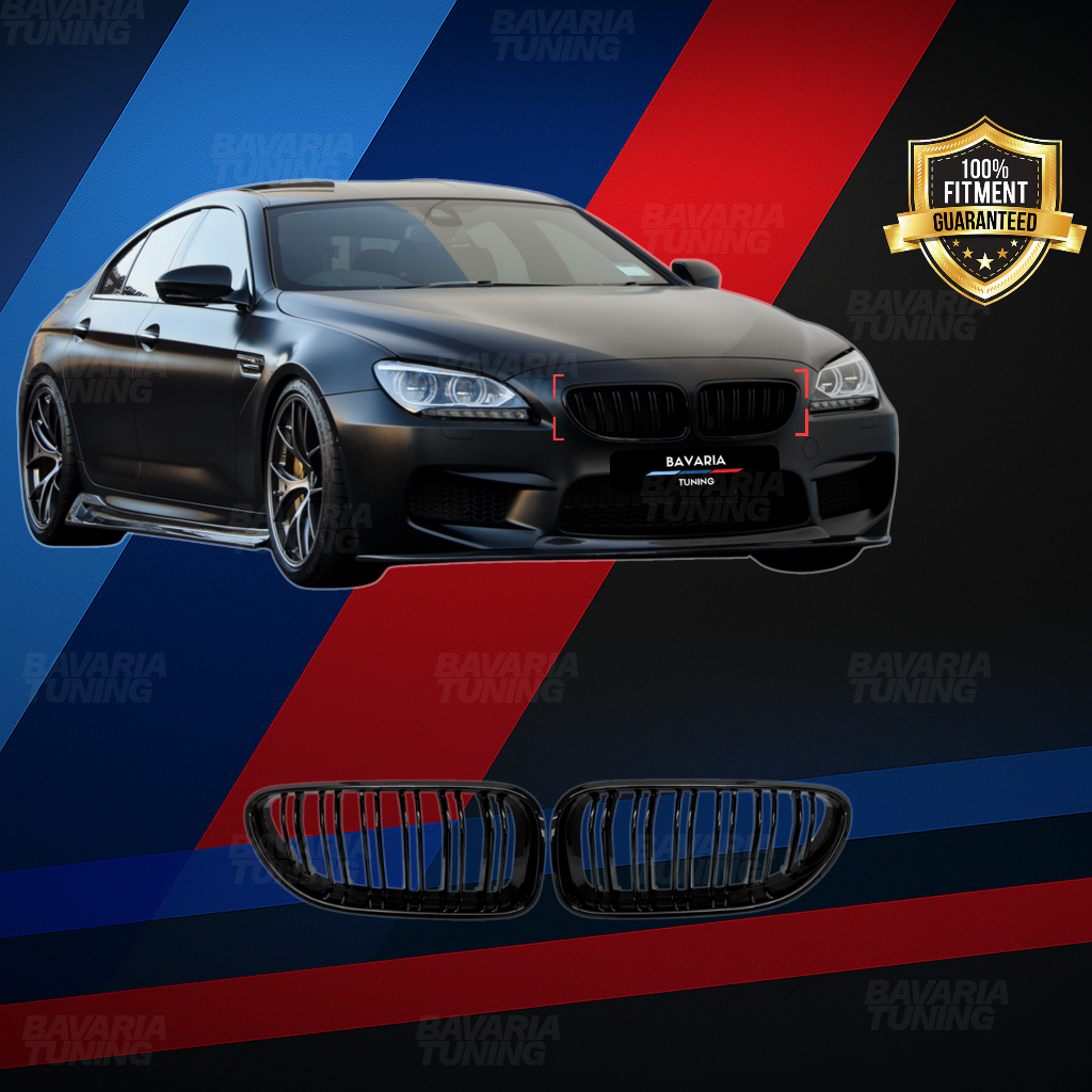 Двойни бъбреци за BMW F06